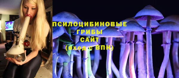 МДМА Горняк
