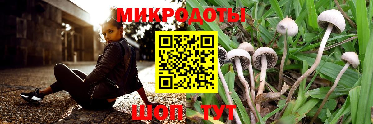 Кимовск  Галлюциногенные грибы GOLDEN TEACHER  как найти закладки  Вход с VPN 